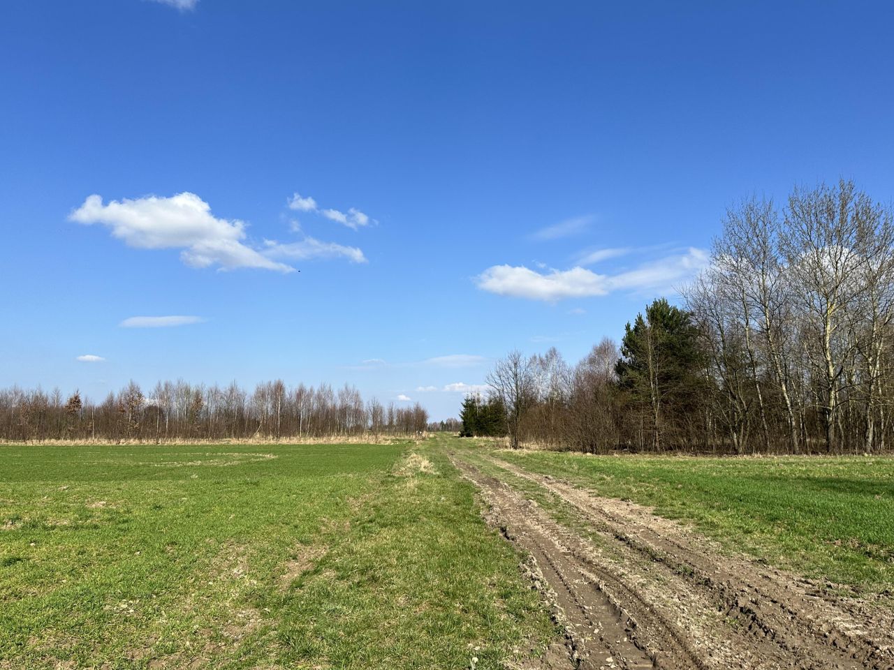 Działka budowlana Stary Kazanów. Zdjęcie 7