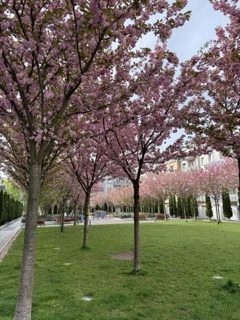 Mieszkanie 2-pokojowe Wrocław Tarnogaj, ul. ks. Czesława Klimasa. Zdjęcie 19