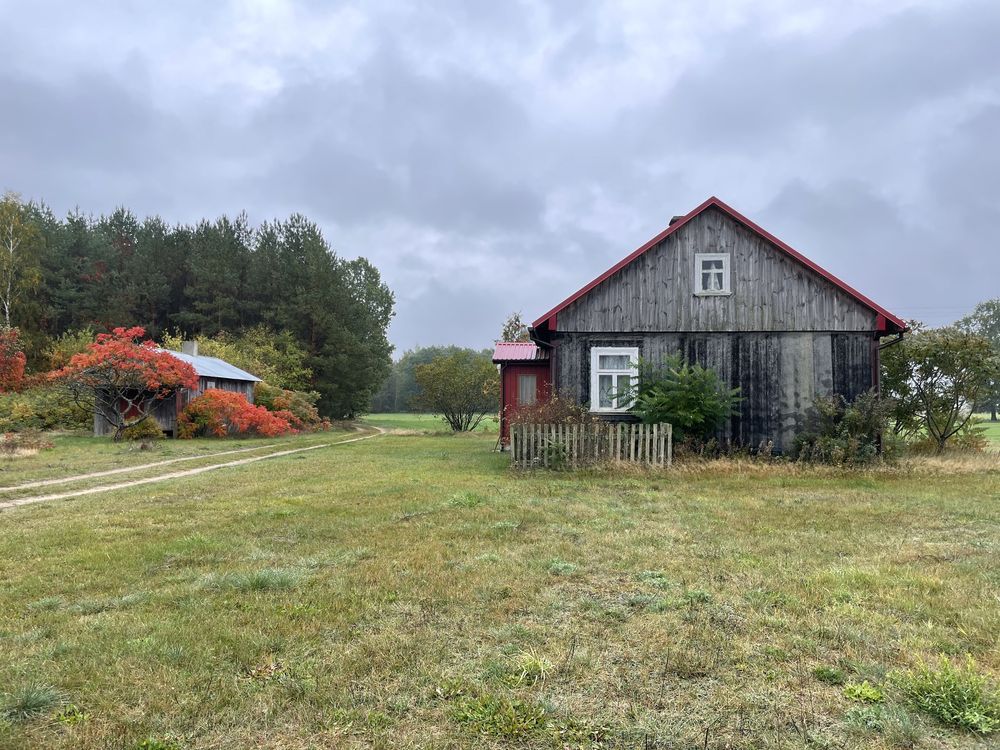 Działka siedliskowa Lubiejki. Zdjęcie 6
