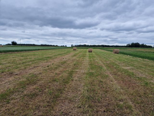 Działka rolno-budowlana Grodzisk Kolonia Grodzisk. Zdjęcie 1
