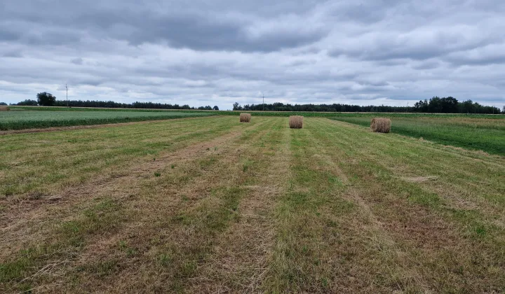 Działka rolno-budowlana Grodzisk Kolonia Grodzisk