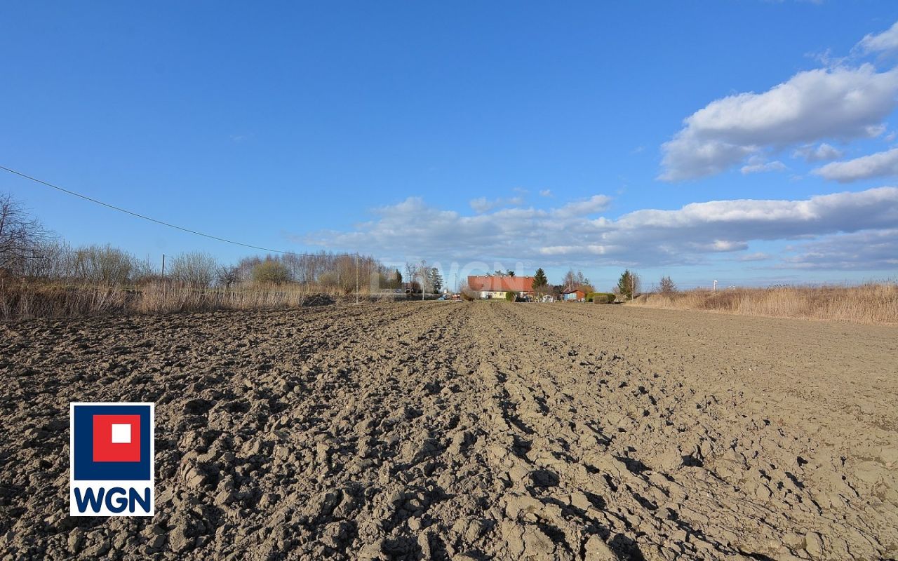 Działka rolna Nowakowo. Zdjęcie 5