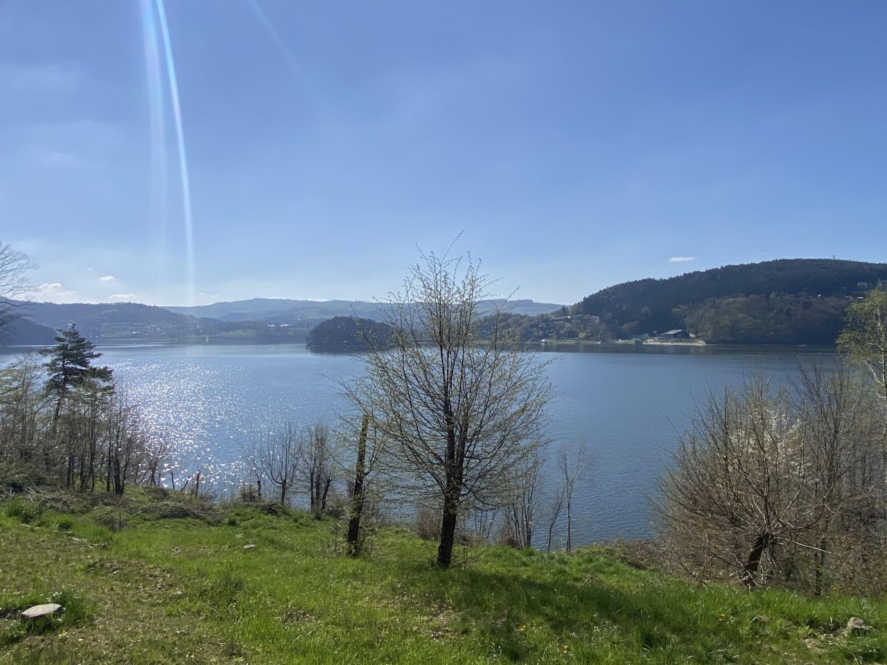 Działka leśna Rożnów Wiesiółka. Zdjęcie 10