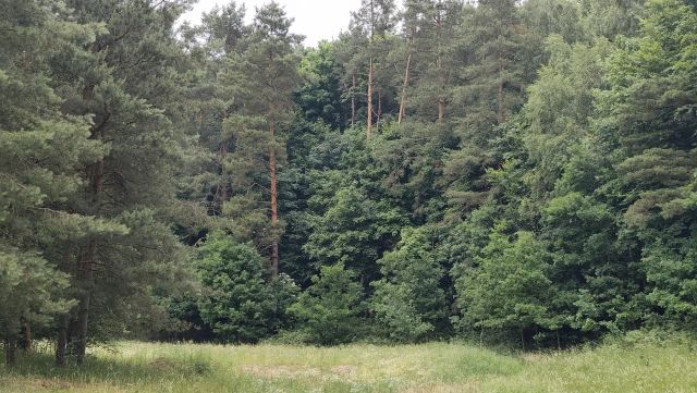 Działka rolno-budowlana Dębinka. Zdjęcie 1