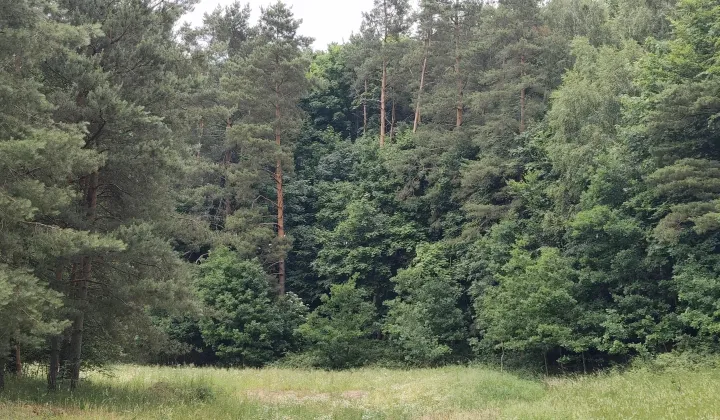 Działka rolno-budowlana Dębinka