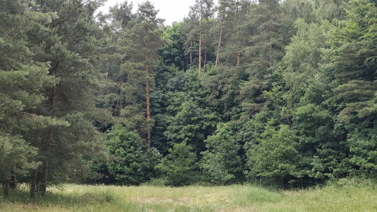 Działka rolno-budowlana Dębinka. Zdjęcie 1