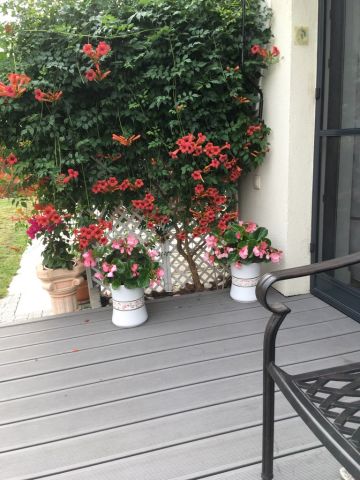 dom szeregowy, 4 pokoje Łódź Nowosolna, ul. Klementynkowa. Zdjęcie 41