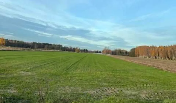 Działka budowlana Wola Gutowska