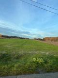 Działka budowlana Wola Gutowska
