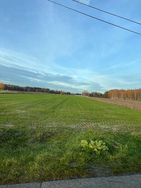 Działka budowlana Wola Gutowska