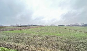 Działka rolna Kostera