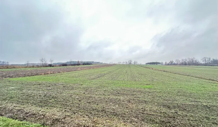 Działka rolna Kostera