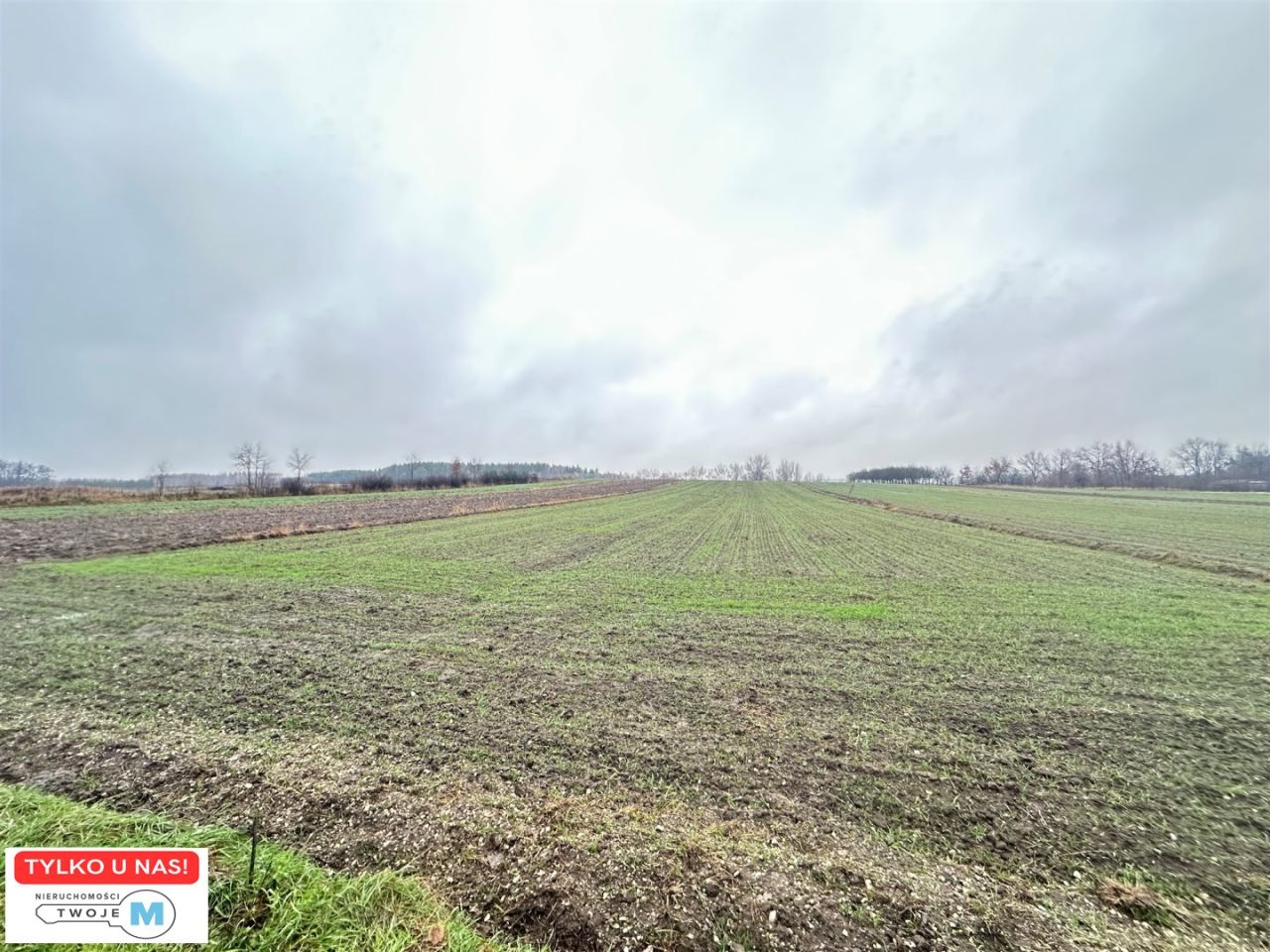 Działka rolna Kostera