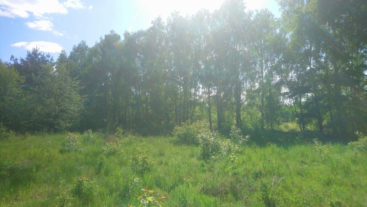 Działka budowlana Popielżyn-Zawady. Zdjęcie 13