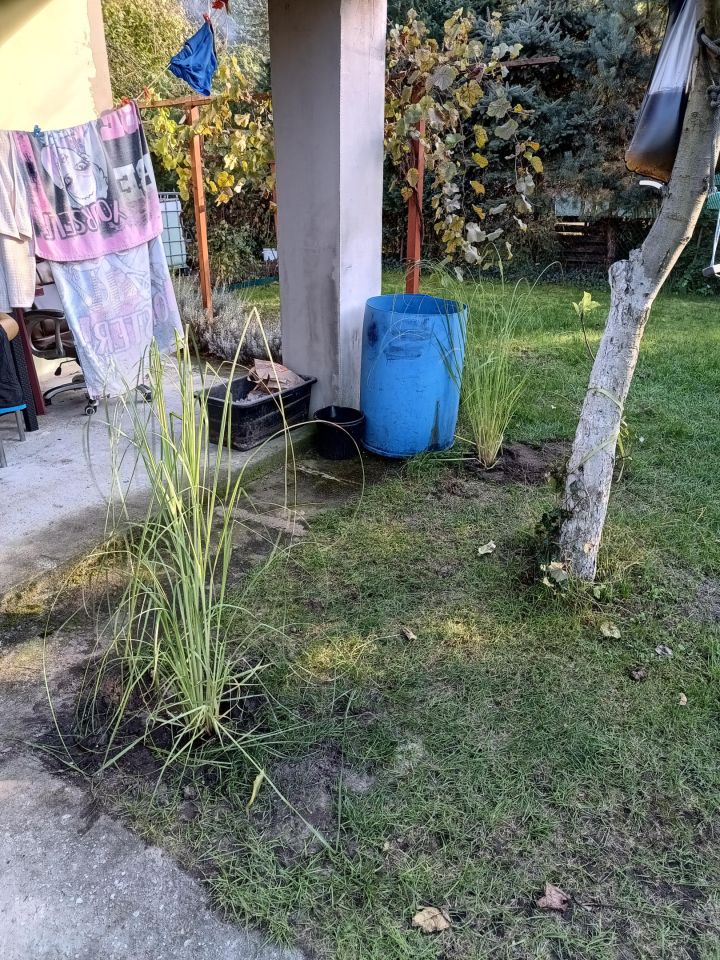 Działka rod Kamieniec Wrocławski, ul. Działkowa. Zdjęcie 14