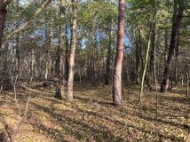 Działka leśna Stara Huta. Zdjęcie 3