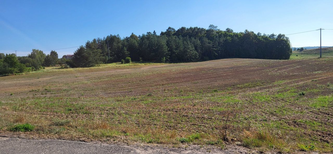 Działka budowlana Rychnowo. Zdjęcie 2