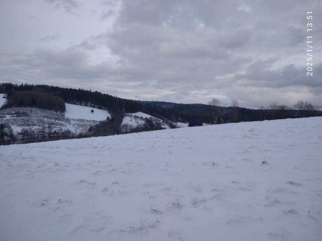 Działka rolna Wojtkówka. Zdjęcie 3