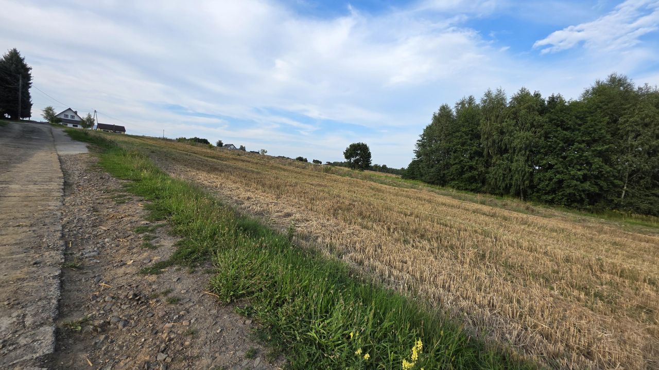 Działka budowlana Pilzno Przymiarki, ul. Tadeusza Kościuszki. Zdjęcie 2