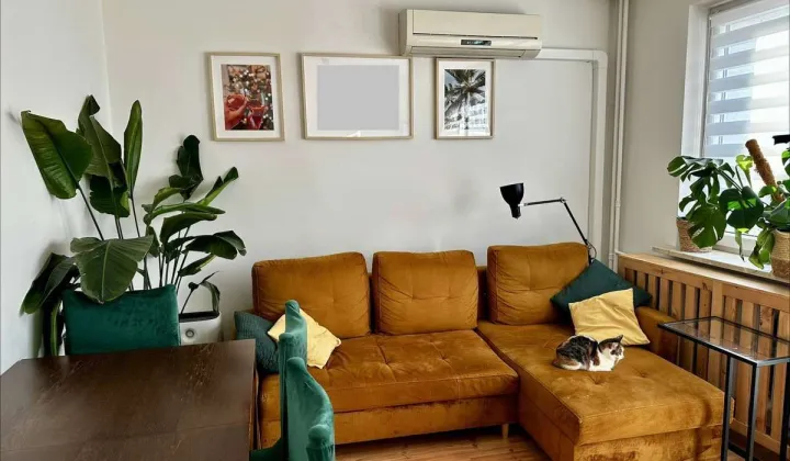 Mieszkanie 3-pokojowe Legionowo, ul. Zegrzyńska