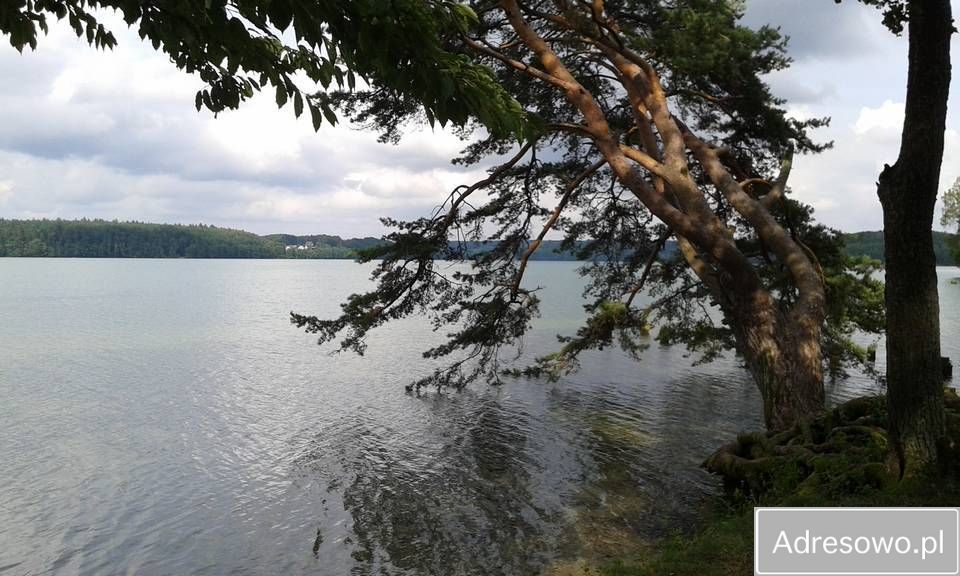 Działka budowlana Parchowo Parchowski Młyn. Zdjęcie 9