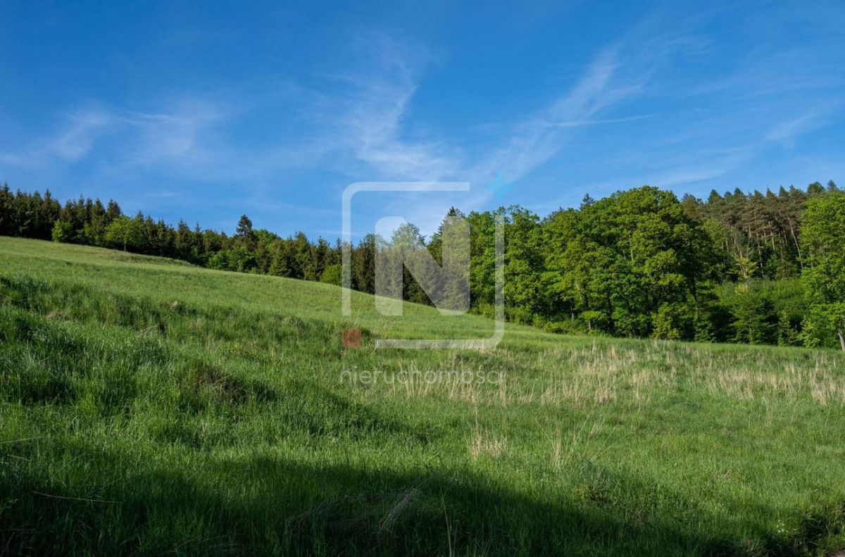Działka budowlana Karpacz Wilcza Poręba, ul. Wilcza. Zdjęcie 9