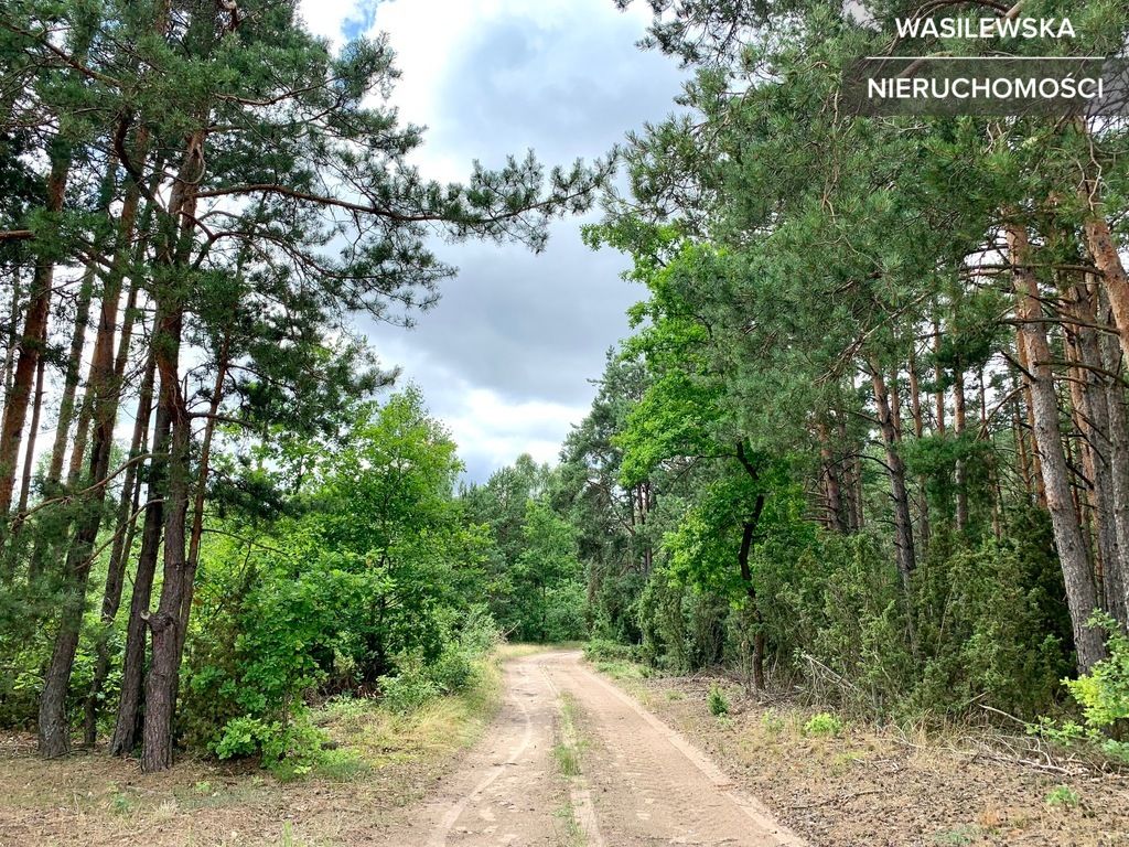 Działka budowlana Rząśnik Szlachecki. Zdjęcie 12