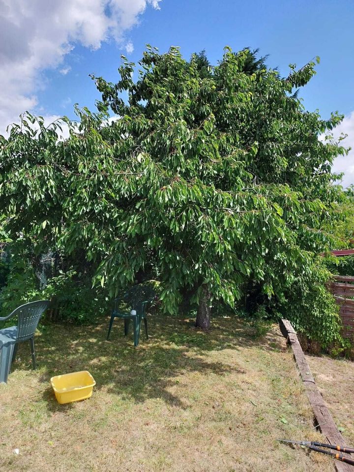 Działka rod Gorzów Wielkopolski, ul. Piłkarska. Zdjęcie 8