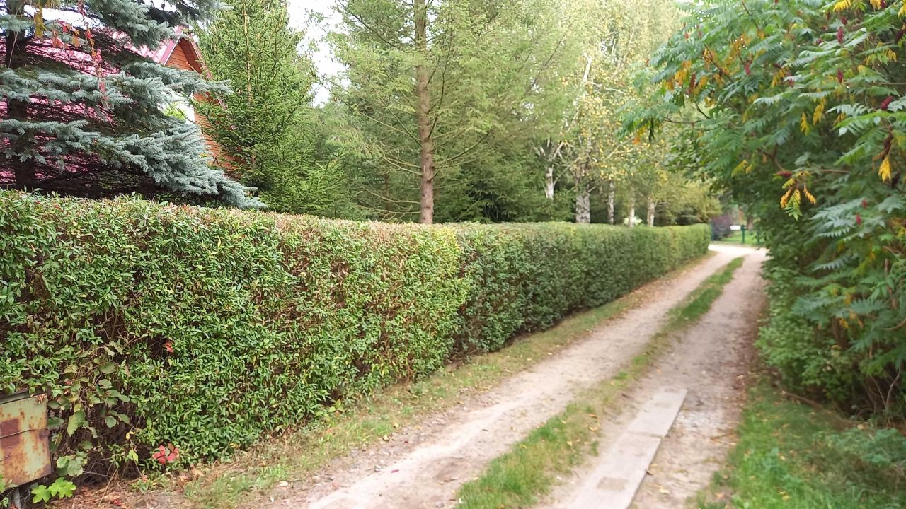 Działka budowlana Błędowo. Zdjęcie 3