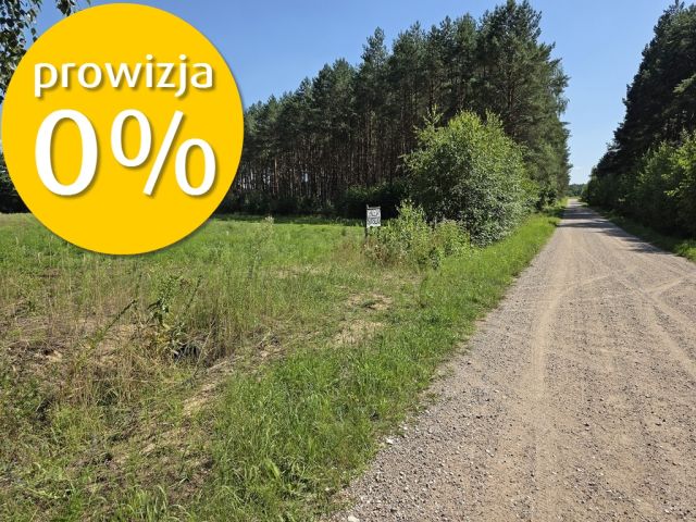 Działka Solniki. Zdjęcie 1