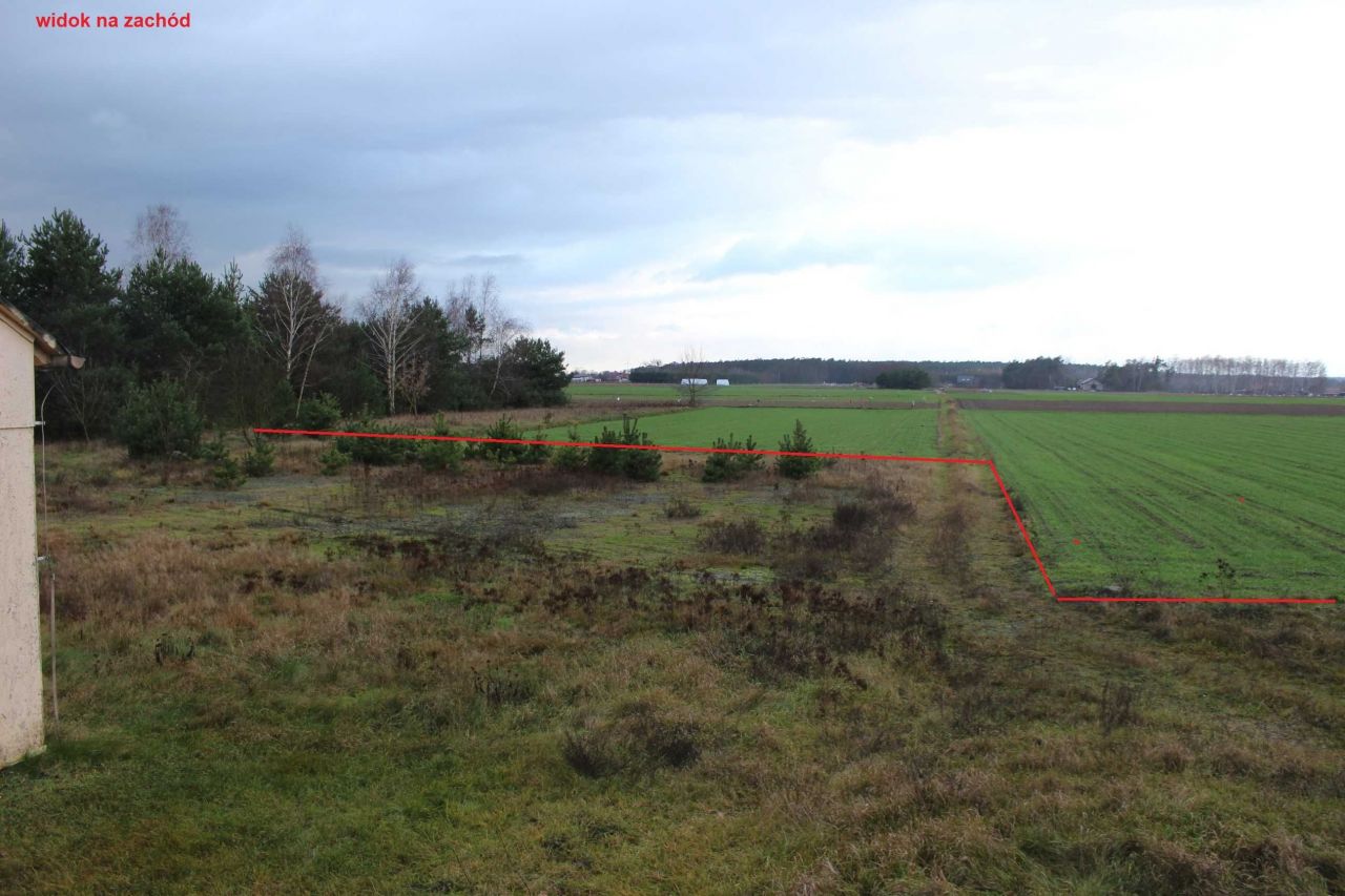 Działka siedliskowa Wólka Wysoka. Zdjęcie 3