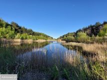 Działka budowlana Górki Duże. Zdjęcie 3