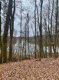 Działka rolna Łagów, ul. Winogronowa