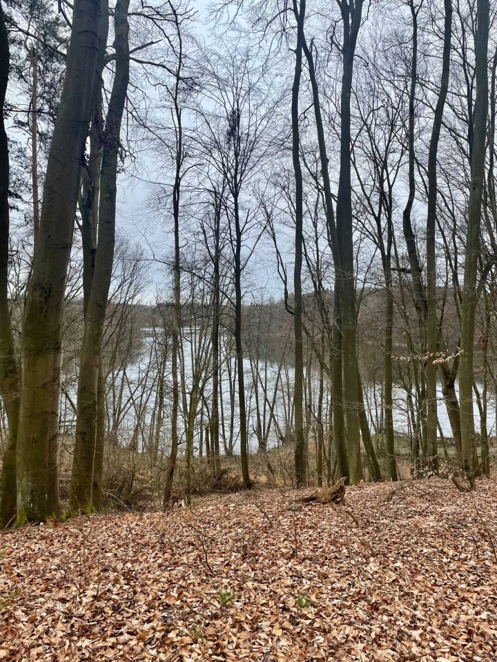 Działka rolna Łagów, ul. Winogronowa
