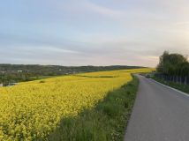 Działka rolna Świrna. Zdjęcie 4