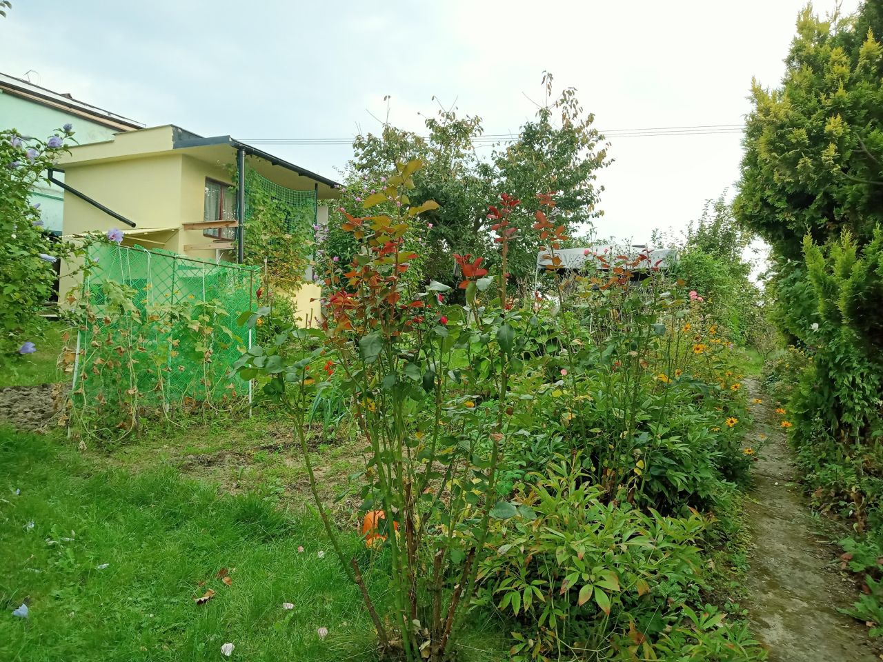 Działka rod Jastrzębie-Zdrój, ul. Stodoły. Zdjęcie 9