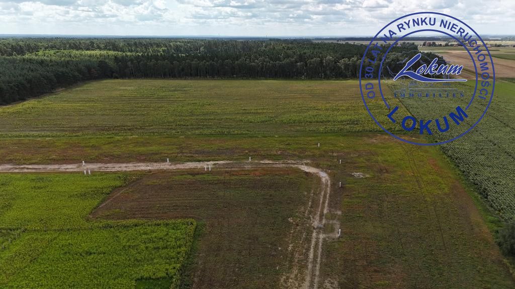 Działka budowlana Jezierzyce Kościelne. Zdjęcie 6