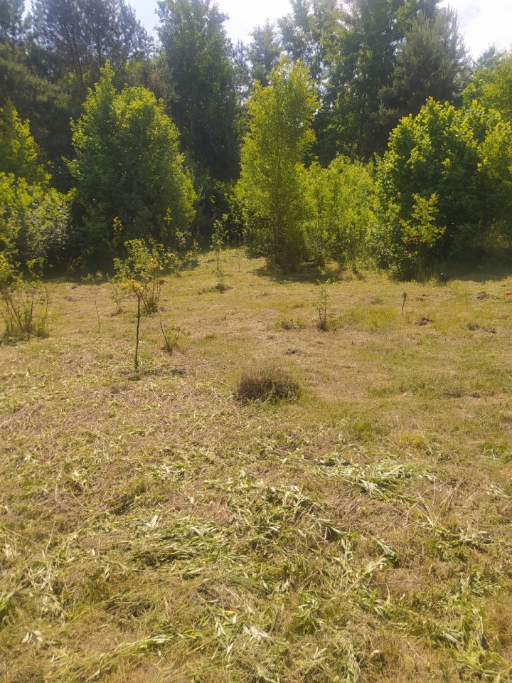 Działka budowlana Janopol. Zdjęcie 8