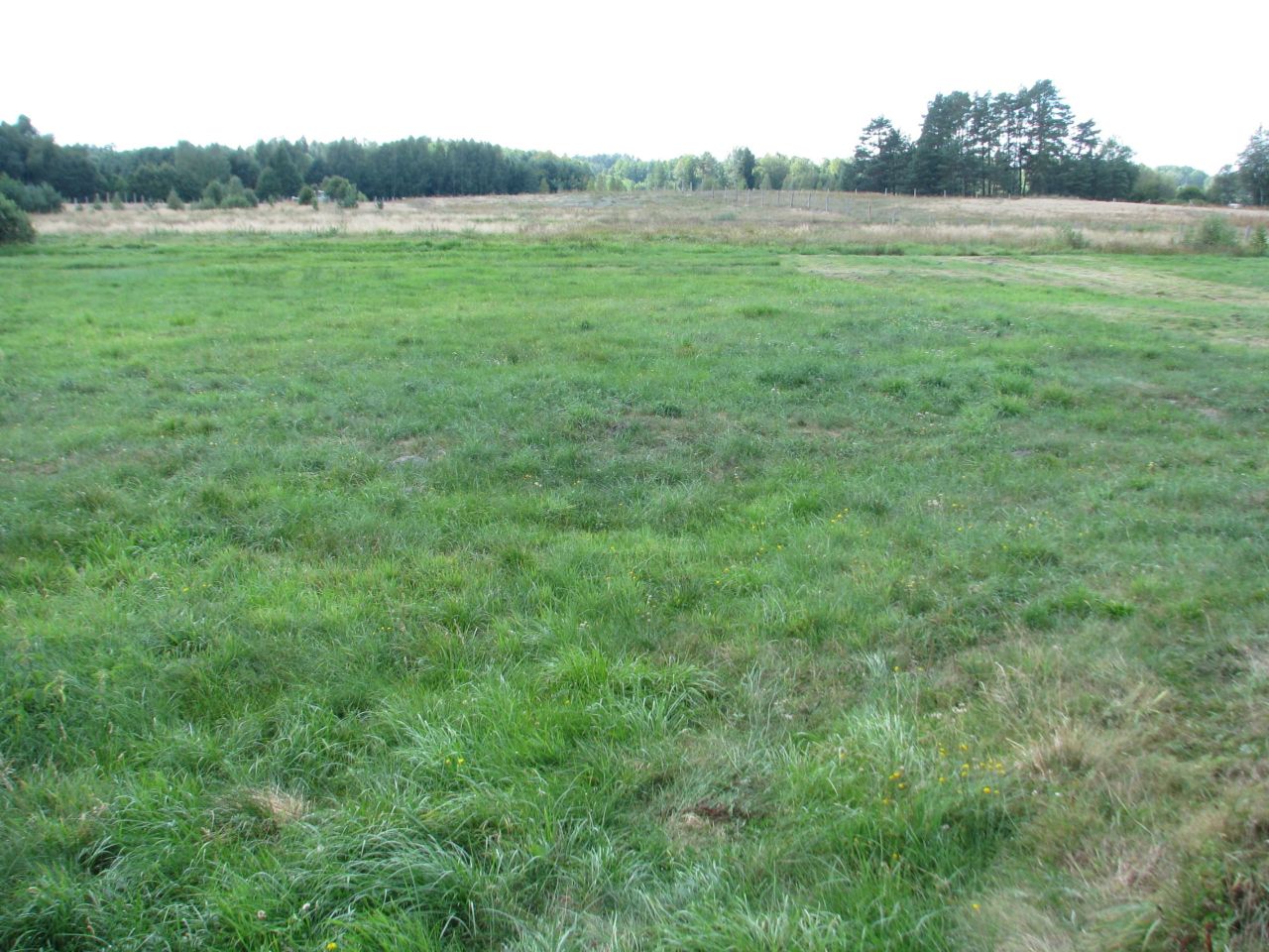 Działka rolno-budowlana Strękowizna. Zdjęcie 7