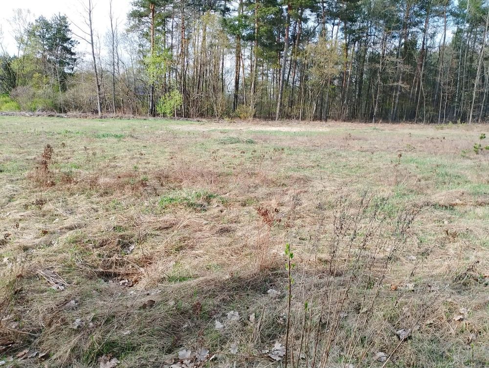 Działka budowlana Chmielewo. Zdjęcie 1