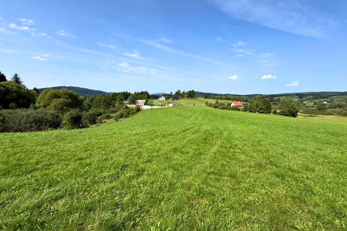 Działka budowlana Jałowe. Zdjęcie 10