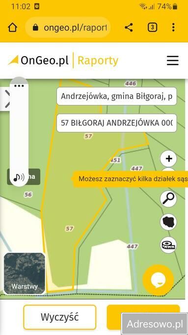 Działka leśna Andrzejówka. Zdjęcie 4