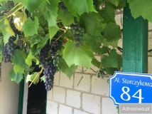 Działka rod Kuków. Zdjęcie 1