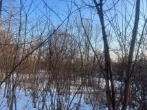 Działka rolna Jadowniki. Zdjęcie 2