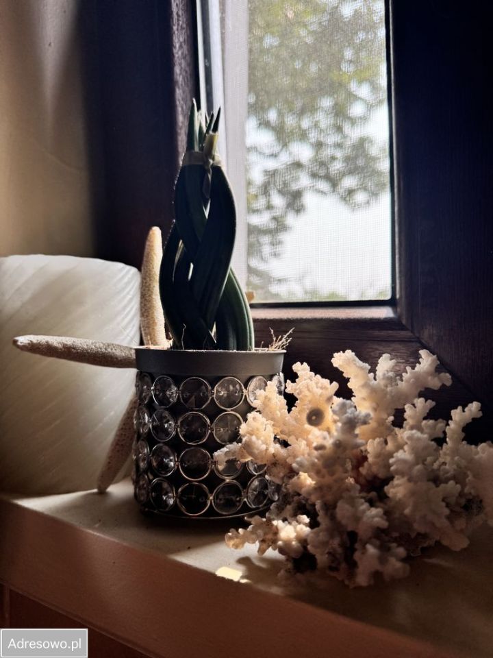 bliźniak, 3 pokoje Dziećmiarki. Zdjęcie 15