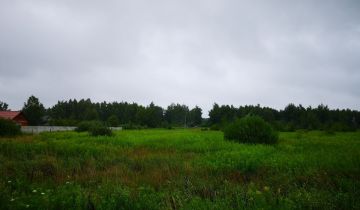 Działka Wilkszyn