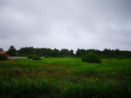 Działka Wilkszyn