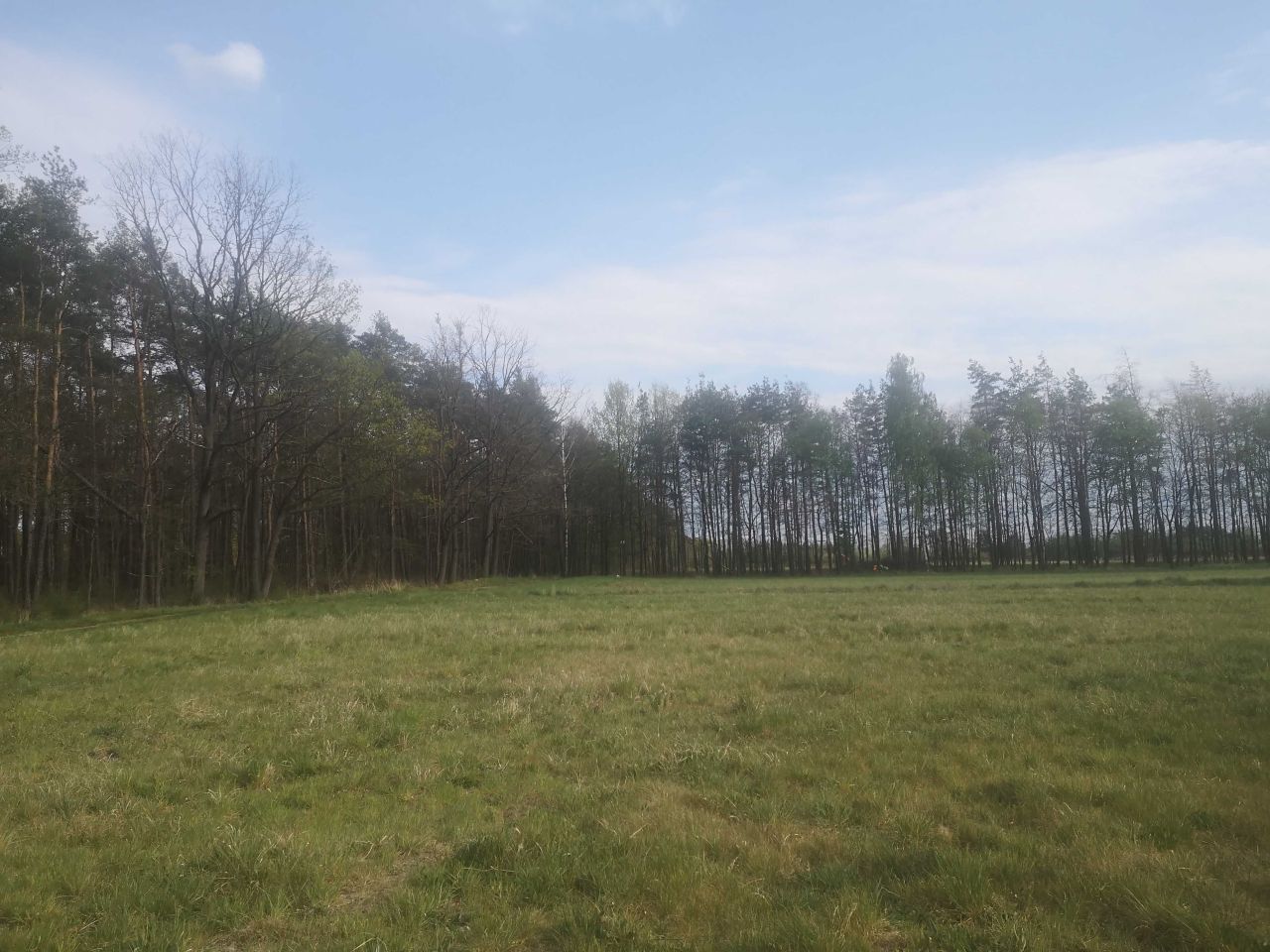 Działka budowlana Opole Grotowice