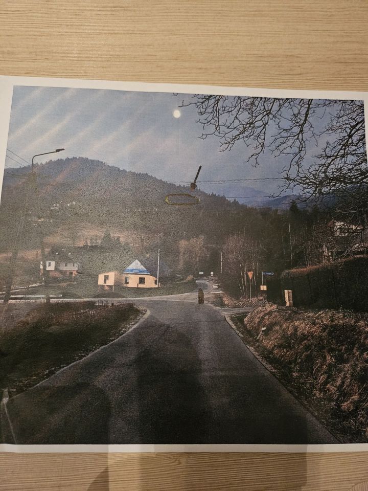 Działka leśna Słotwina. Zdjęcie 4