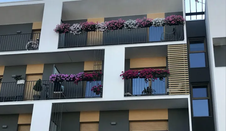 Mieszkanie 3-pokojowe Gniezno, ul. Elizy Orzeszkowej